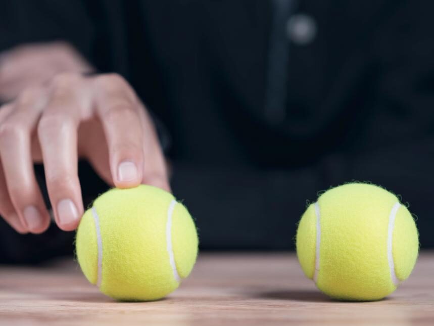 SitterEase and Time-to-Pet pet sitting software comparison