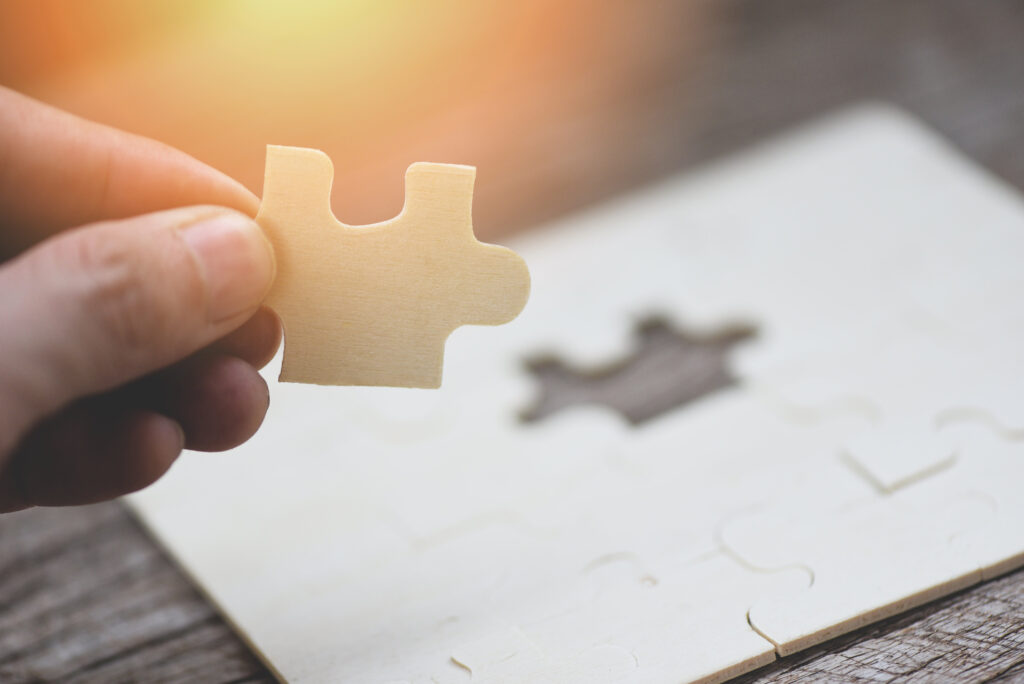 Missing puzzle piece representing the gap between pet sitting software and a professional website